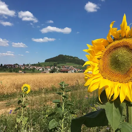 Hotel Zum Roessle 3*